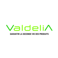 Logo Valdelia